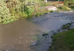 Il Maira questa mattina